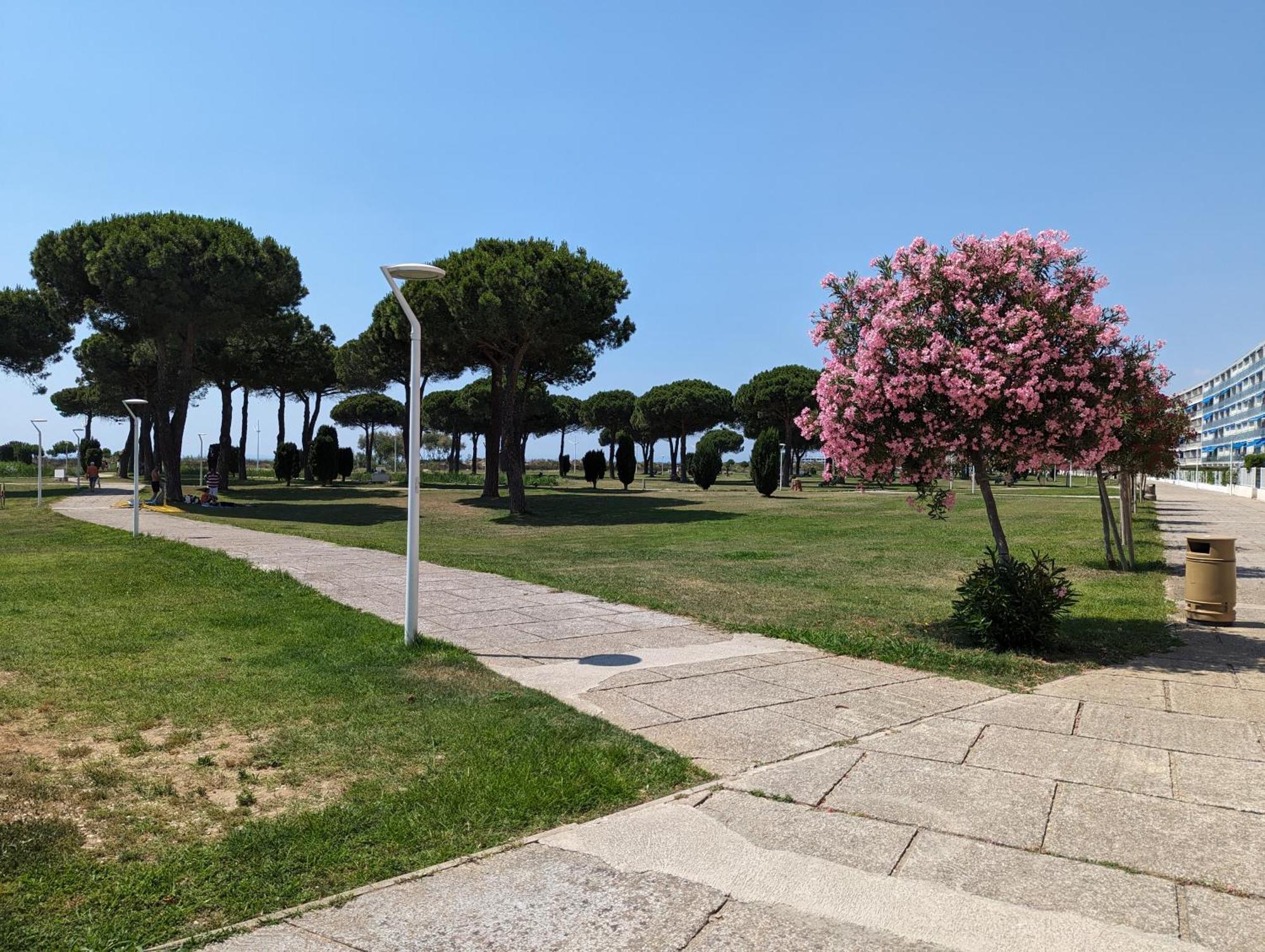 Sol-Y-Days Mathilde: Beachfront Garden Apartment with Parking Le Grau-du-Roi Exterior photo